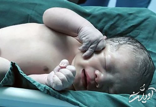 یک پسر می‌خواستیم حالا ۵ تا داریم